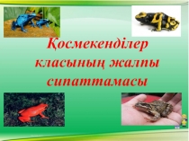 Қосмекенділер класының жалпы сипаттамасы атты ашық сабақтың презентациясы