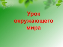 Презентация по окружающему миру на тему Стадии развития насекомых