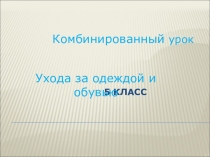 Презентация по технологии на тему Уход за одеждой и обувью