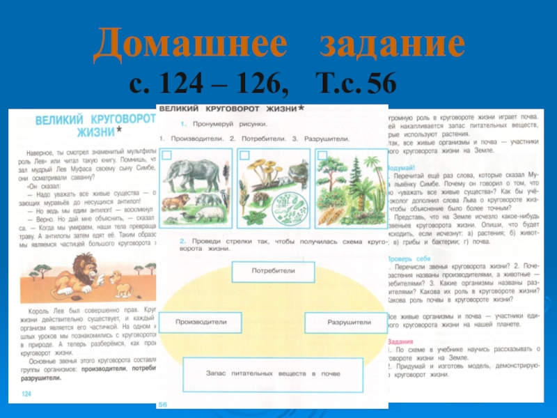 Окружающий мир 3 великий круговорот жизни. Великий круговорот жизни 3 класс окружающий мир. Великий круговорот жизни задания. Круговорот жизни 3 класс окружающий. Проект Великий круговорот жизни 3 класс окружающий мир.