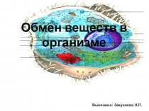 Презентация Обмен веществ в организме
