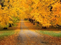 Презентация к поэтическому вечеру литературного кружка на тему: Уж небо осенью дышало...!