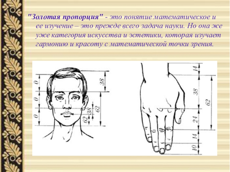 Золотая пропорция в математике проект