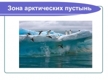 Электронный образовательный ресурс, презентация на тему Зона арктических пустынь