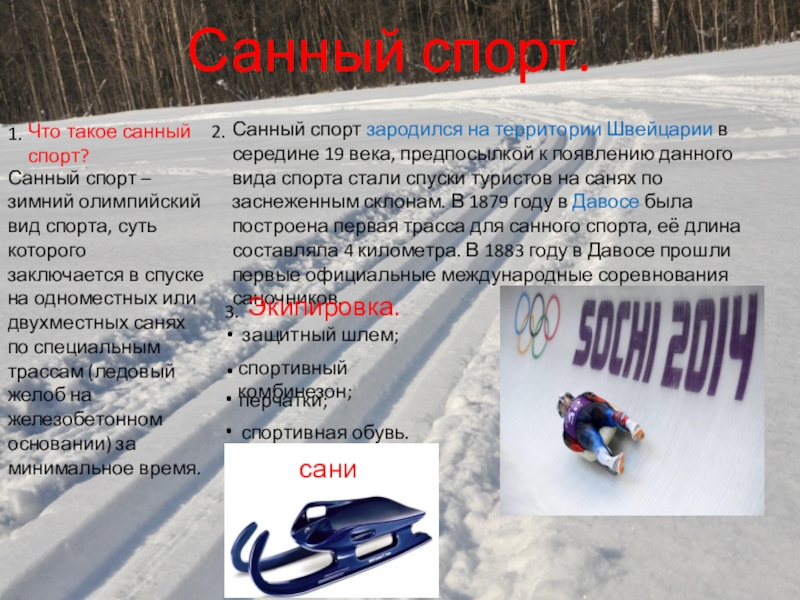 Санный спорт презентация