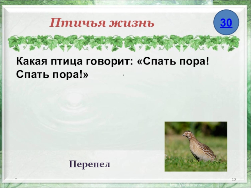 спать пора спать пора какая птица. снова осень снова птицы. диктант синички 3 класс. перепишите текст 1. пора птичьих песен прошла впр.