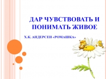Презентация урока по литературному чтению Г.Х. Андерсен Ромашка (3 класс)