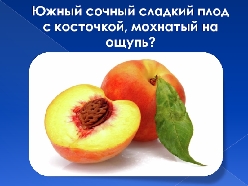 персиков дело глазника