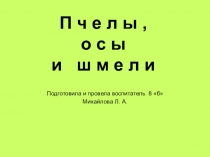 Презентация Пчелы, осы и шмели