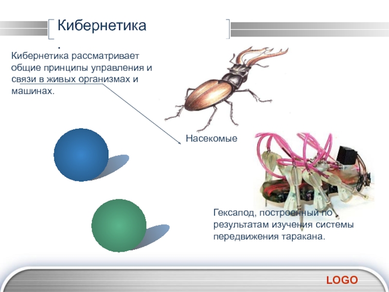 Рассмотрите общее. Кибернетика примеры. Бионика кибернетика презентация. Управление и кибернетика. Примеры кибернетики в биологии.