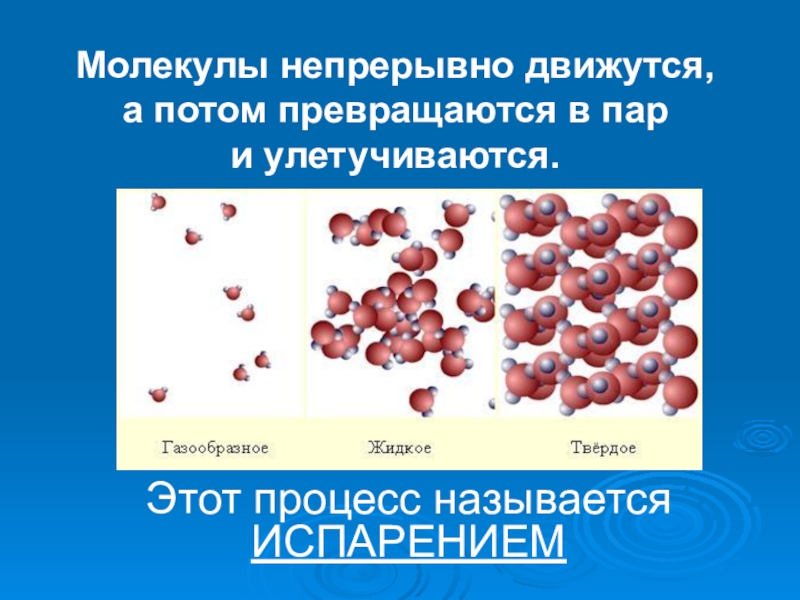 Строение молекулы твердых тел. Особенности молекулярного строения газов жидкостей и твердых тел. Молекулы непрерывно. Молекулярное строение газов. Особенности молекулярного строения газов.