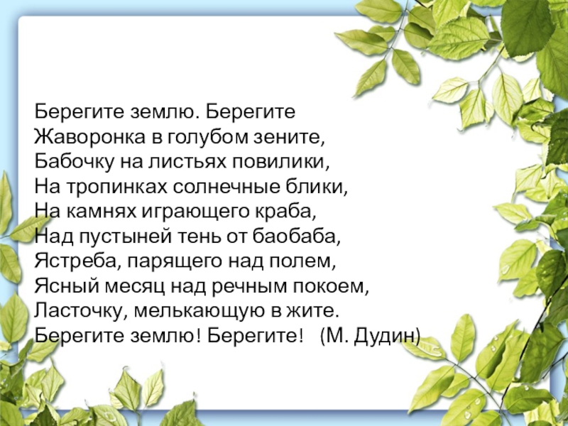 Песня берегите землю детская. Берегите землю! Берегите жаворонка в голубом Зените, бабочку на. Берегите землю берегите жаворонка в голубом Зените стих. Берегите землю. Дудин берегите землю.