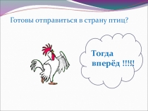 Презентация к сценарию Пернатые друзья