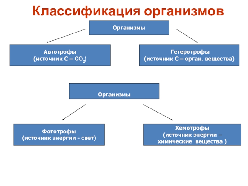 Классификация живых организмов 5 класс биология презентация