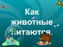 Презентация Как питаются животные.