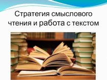 Презентация по русскому языку на тему Стратегия смыслового чтения и работа с текстом