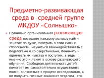 Предметно - развивающая среда