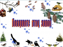 Акция Покормите птиц зимой