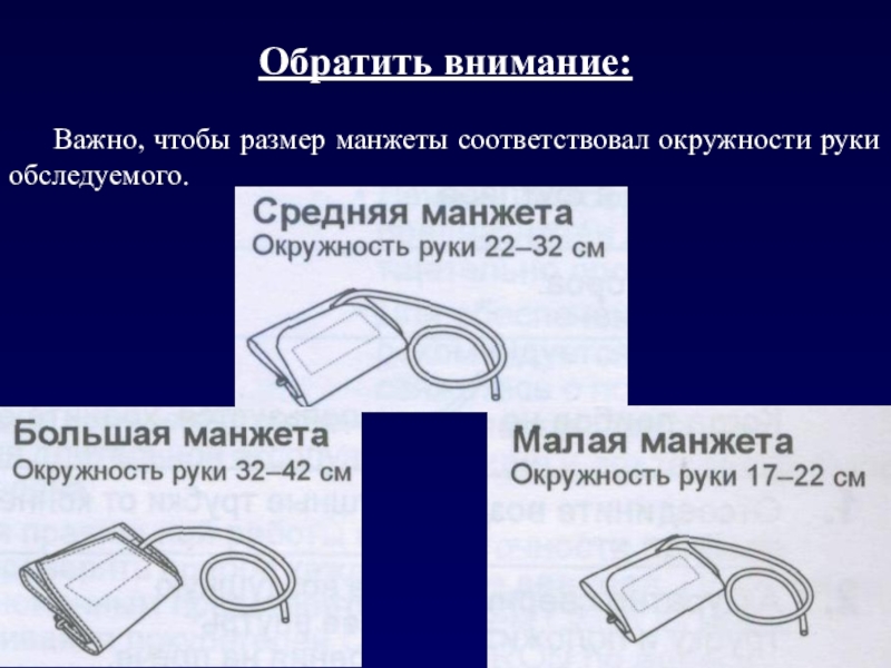 Обхват манжеты. Размеры манжеты для тонометра. Ширина манжеты тонометра. Манжета для тонометра Размеры. Размеры манжет для тонометров.