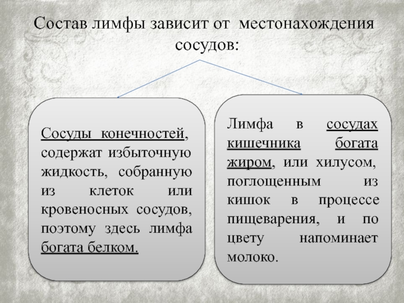 Состав лимфы. Свойства лимфы. Лимфа состав и функции. Состав и свойства лимфы.