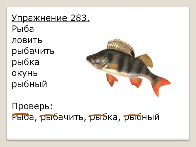 Упражнение 283. Рыбаловитьрыбачить рыбкаокунь рыбный Проверь:Рыба, рыбачить, рыбка, рыбный
