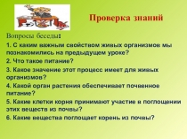 Презентация по биологии на тему фотосинтез