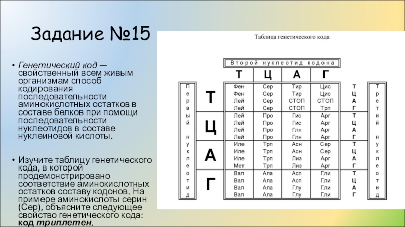 Презентация по биологии 10 класс генетический код