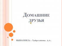Презентация для дошкольников Домашние друзья