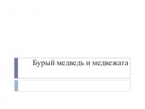 Презентация к уроку изо на тему Медведь и медвежата