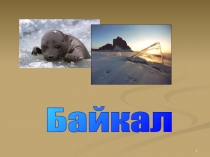 Тема  Байкал 7 класс