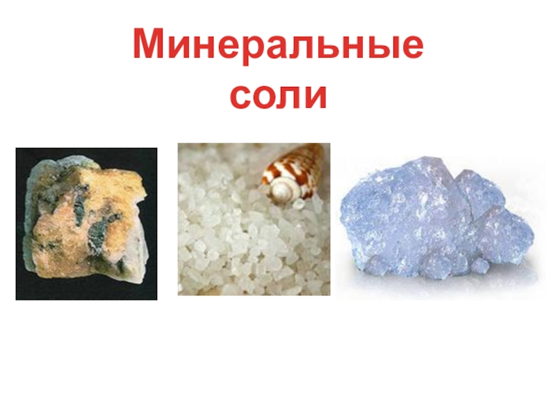 минеральные соли где купить