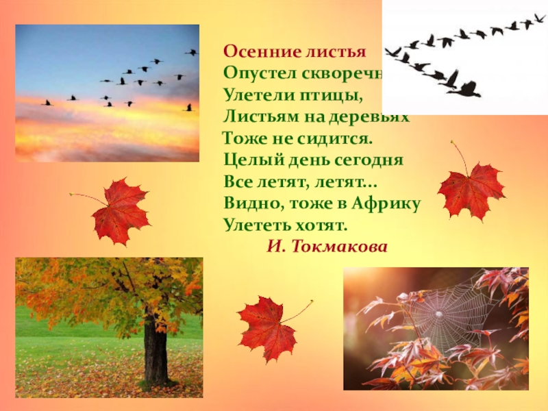 Улетели теплые дни. Токмакова опустел скворечник. Стихи про осень. Стихи про осенние листья. Стихи про птиц осенью.
