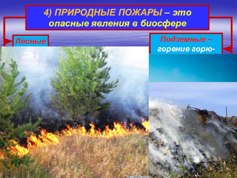 Лесной пожар относится к биологически опасным явлениям. Природные пожары опасные явления. Природные явления в биосфере. 4.Природные пожары -. Опасные явления природы с огнём.