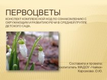 Презентация по экологии Первоцветы