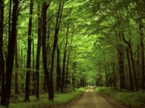 Презентация Учимся писать сочинение