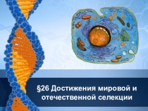 Презентация по биологии на тему Достижения селекции (9 класс)
