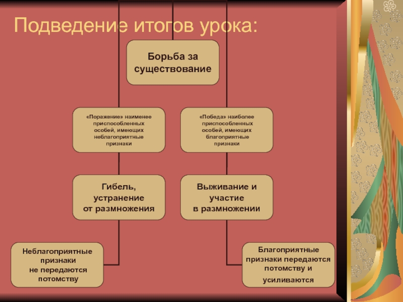 Заключительный урок по биологии 11 класс презентация