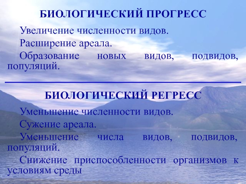 Возражения относительно ликвидации юридического лица образец