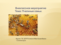 Презентация к внеклассному мероприятию Пчелиные семьи