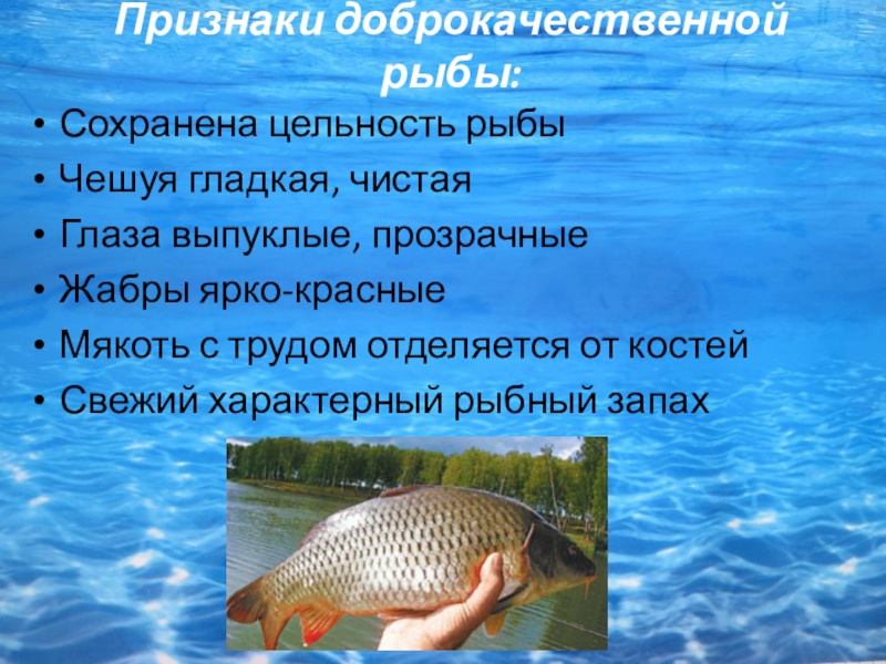 Меры сохранения рыб