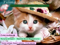 Презентация к открытому уроку по татарскому языку Домашние животные