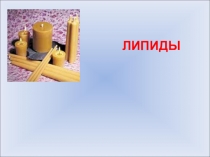 Презентация по теме Липиды