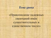 Презентация по русскому языку на тему Правописание падежных окончаний имен существительных (5класс)