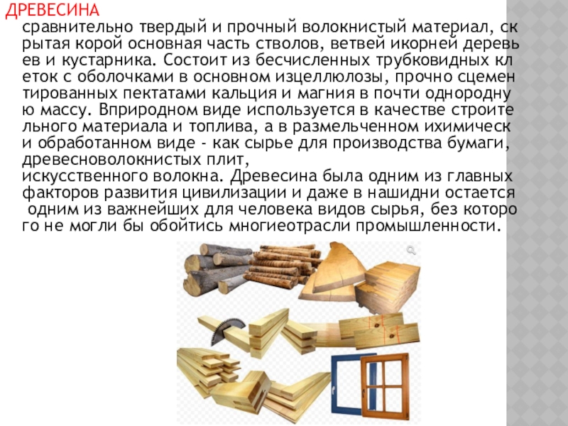 деревья источник древесины презентация. главным источником древесины являются. электрические источники зажигания. главным источником древесины являются. основным источником древесины являются леса.