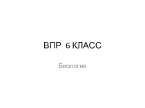 Подготовка к ВПР по биологии 6 класс