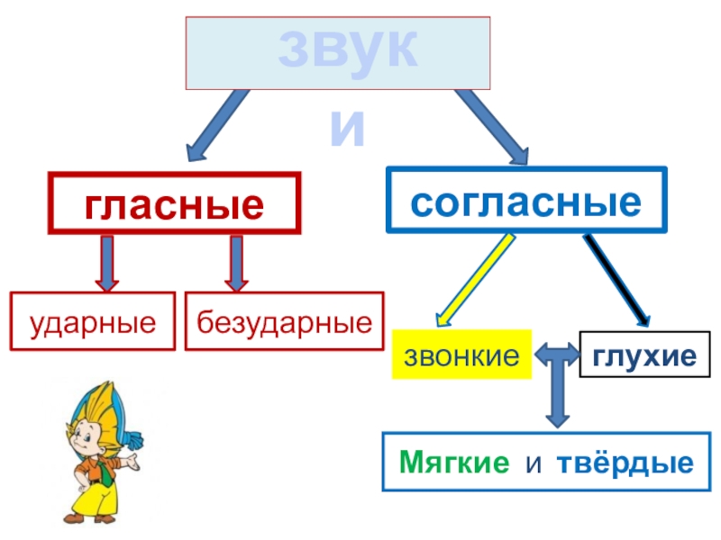 Гласные согласные ударные безударные звонкие глухие