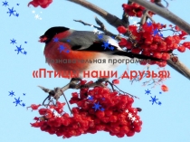 Познавательная игра по теме Птицы - наши друзья