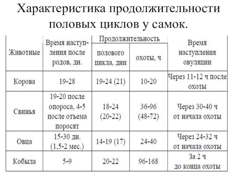 Стадии полового цикла. Половой цикл у животных разных видов. Продолжительность полового цикла у коров. Продолжительность полового цикла у разных видов животных. Средней продолжительности полового цикла.