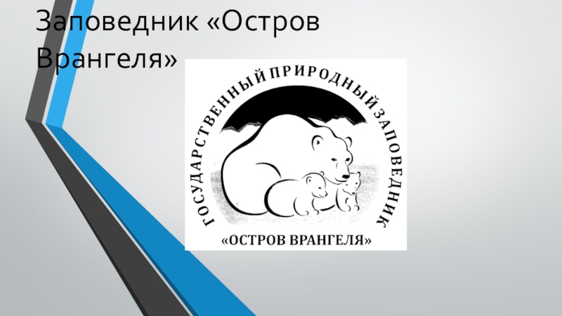 Презентация Презентация по географии на тему: Особо охраняемые территории России (8 класс)