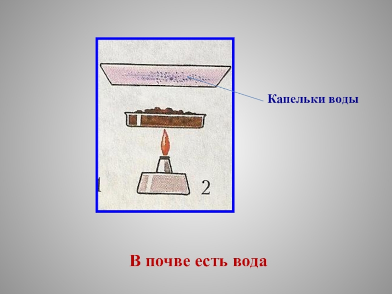 В почве есть. Опыт обнаружение воды. Опыт с почвой по окружающему миру. Опыты с почвой 3 класс. В почве есть вода опыт.